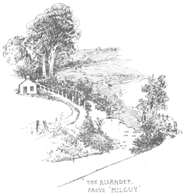 The Allander above 